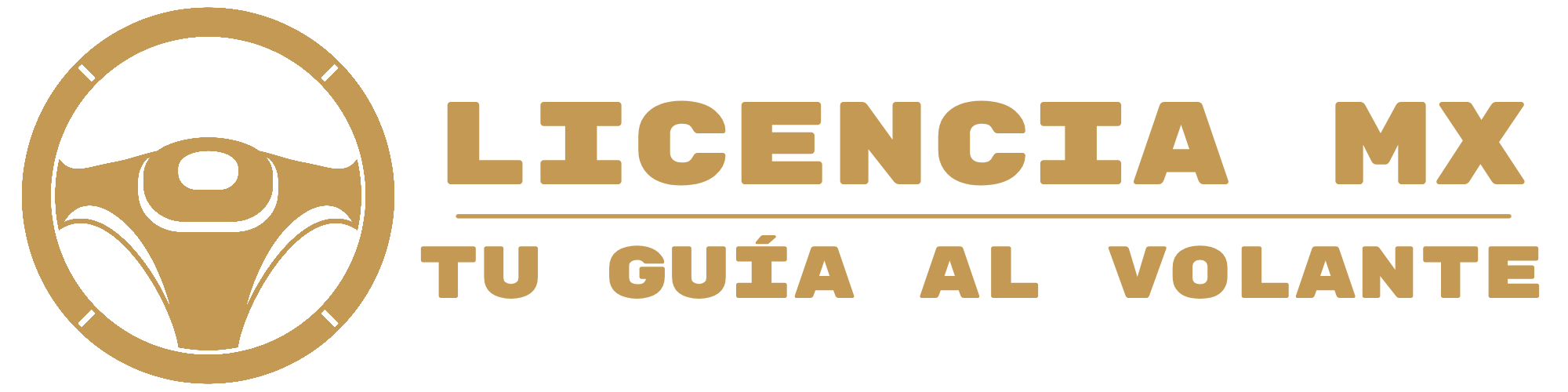 Licencia MX - Tu guía al volante